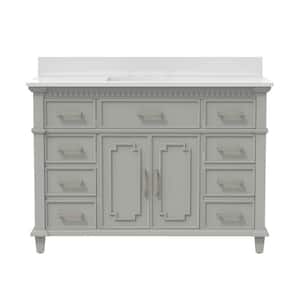 Peen 48 in. W x 22 in. D x 38 in. H Bath Vanity Cabinet in Gray with Top without Mirror