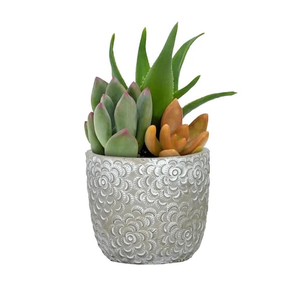 Flora 6 in. Rose Gray Cement Planter with White Interior