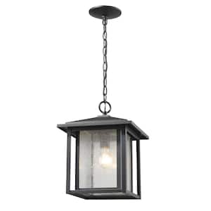 1-Light Black Outdoor Pendant Light with Clear Seedy Glass Shade