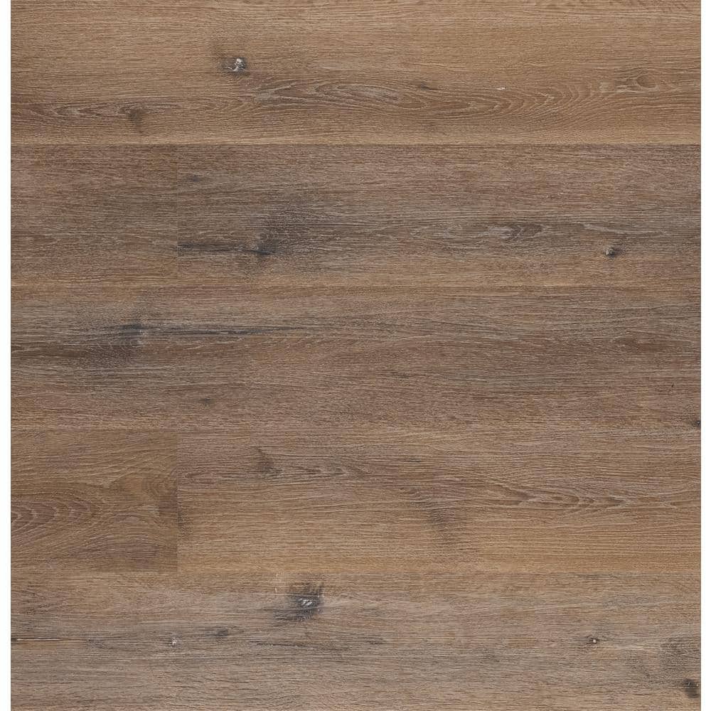 Home Decorators Collection Take Home Tile Sample - Seed Lake Hickory 7 in. x 7 in. Rigid Core Luxury Vinyl Plank Flooring -  VTRHDSEELA-SAM