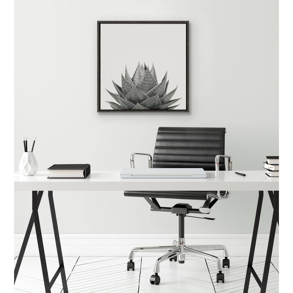 22" Gray Framed Aloe Succulent Canvas Print