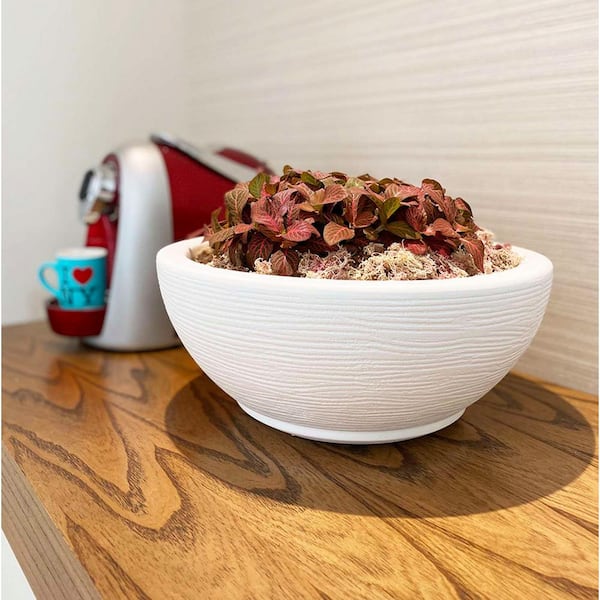 Amsterdan Small White Plastic Resin Indoor and Outdoor Planter Bowl