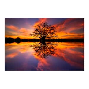 47 in. x 32 in. ''Balance'' Tempered Glass Wall Art