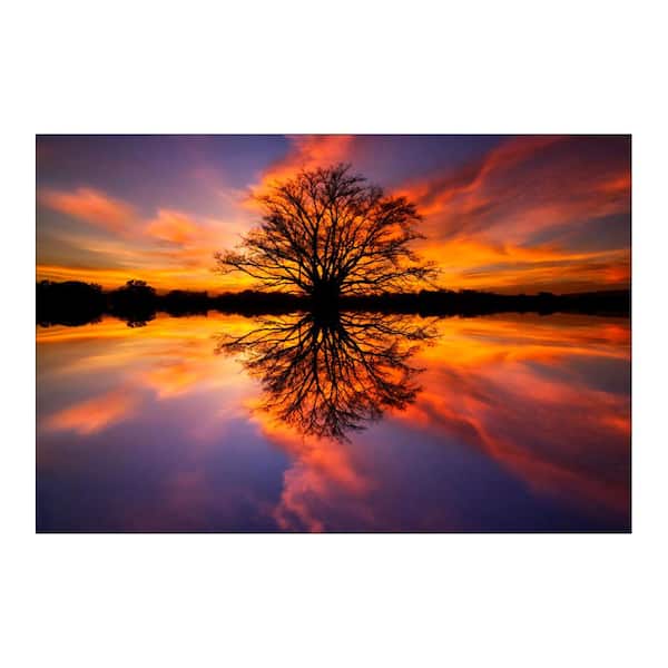 Yosemite Home Decor 47 in. x 32 in. "Balance" Tempered Glass Wall Art