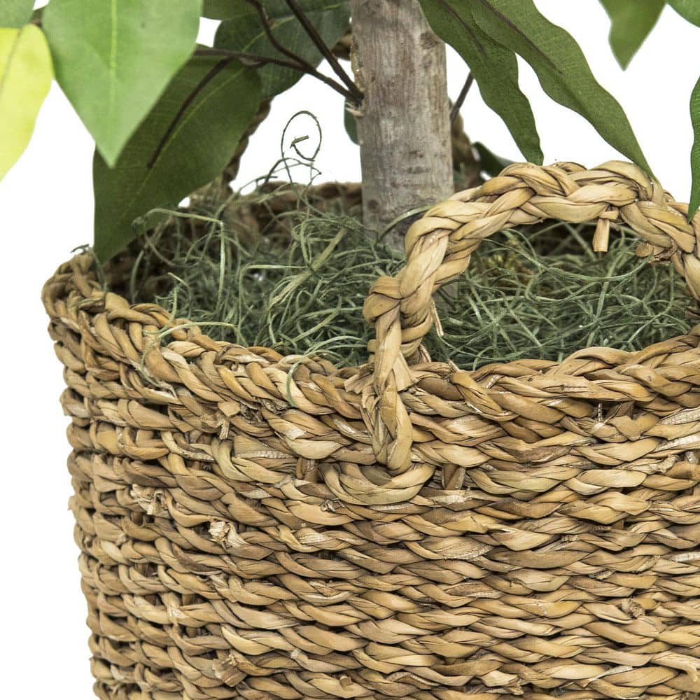 48" Green Artificial Ficus Tree in Woven Rattan Basket