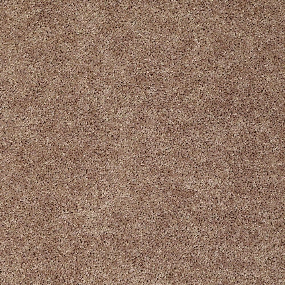 8 in. x 8 in. Texture Carpet Sample - Palmdale I - Color Toasty Warm price history on PriceWatchPro