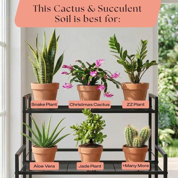 Rosy Soil Organic Cactus & Succulent Mix, 4qt