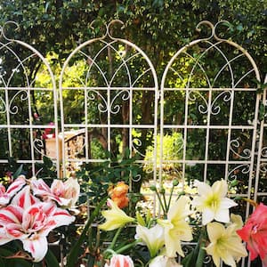 86.7 in. x 19.7 in. Metal Garden Trellis Rustproof Trellis for Climbing Plant Outdoor Flower Support Cream White(2-Pack)