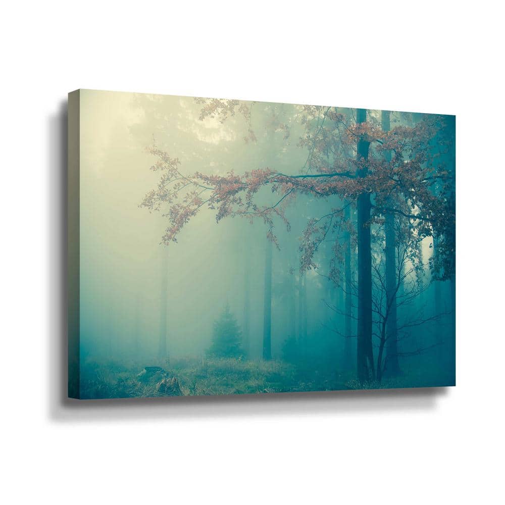 ArtWall Woods' by PhotoINC Studio Canvas Wall Art-5pst189a2436w - The ...