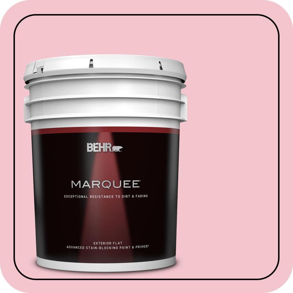 5 gal. #P150-2 Energetic Pink Flat Exterior Paint & Primer price history on PriceWatchPro