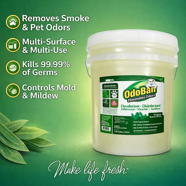 Professional Series 5 Gal. Eucalyptus Disinfectant and Odor Eliminator, Mold Control, Multi-Purpose Cleaner Concentrate