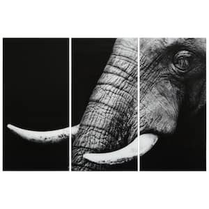 Elephant ABC Frameless Free Floating Tempered Glass Panel Graphic Animal Wall Art Set of 3, each 72" x 36"