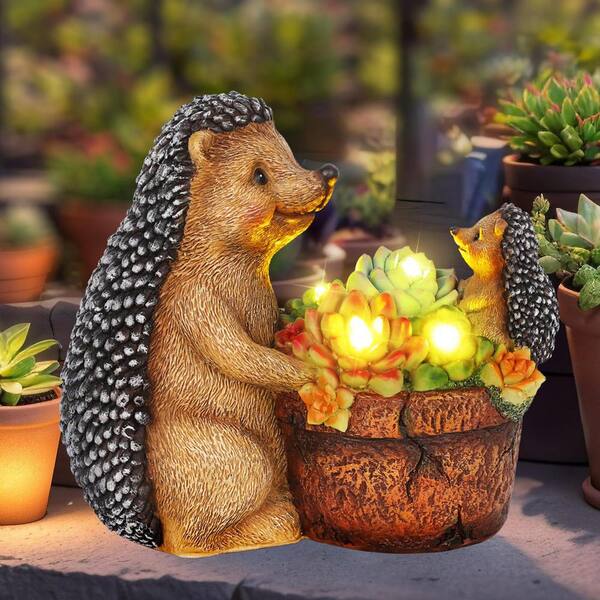 Phewnyzo 8.7 in. x 7.4 in. x 4.5 in. Succulent Hedgehog Garden