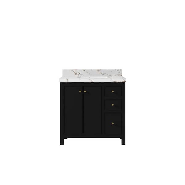 Willow Collections Chicago 36 in. W x 22 in. D x 36 in. H Single Sink Bath Vanity Center in Black with 2 in. Viola Brown Quartz Top