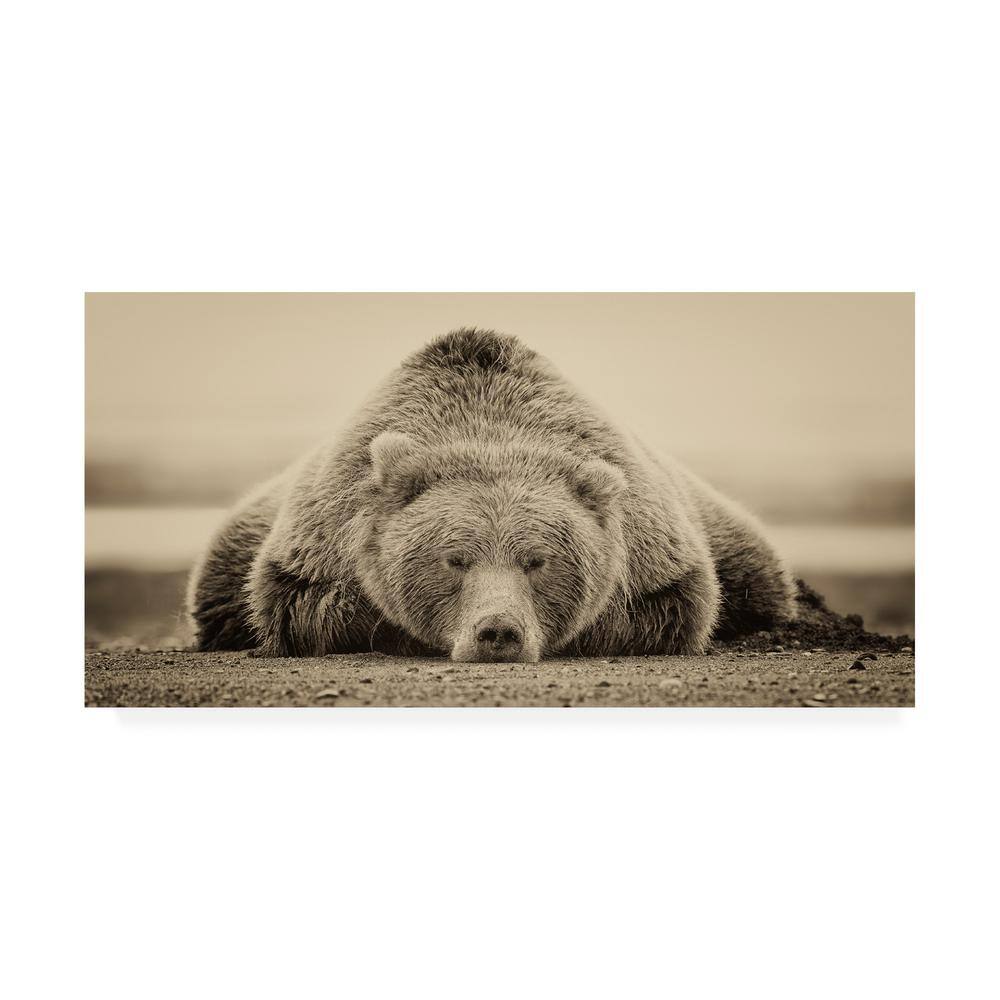 Deep Sleep Bear Tan and Black Canvas Art Print