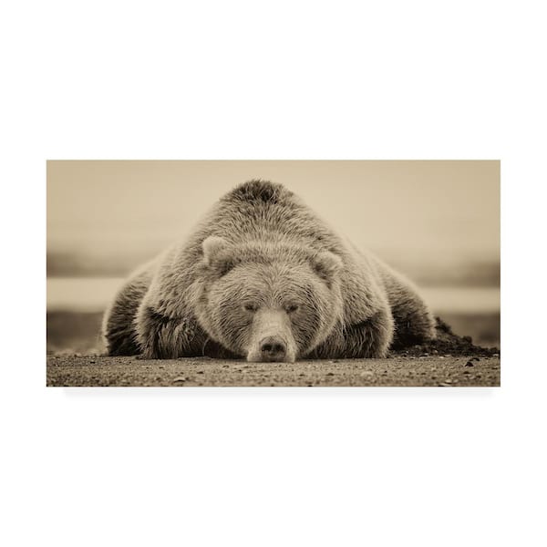 Trademark Fine Art 16 in. x 32 in. Deep Sleep by Phburchett
