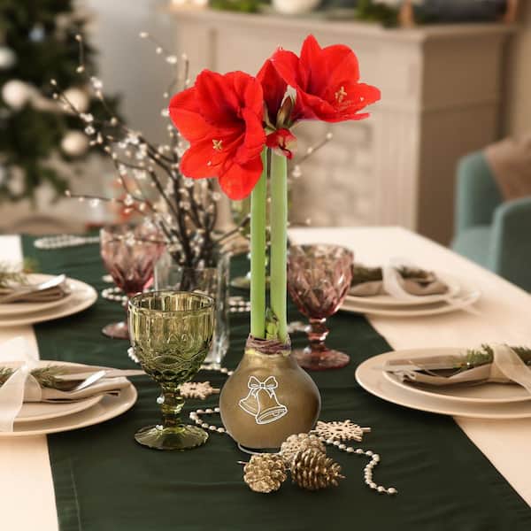 Holiday Gold Waxed Amaryllis Bulb Stencil with Red Flowers