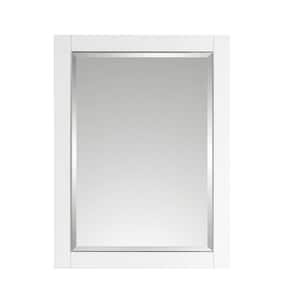 Allie 22 in. W x 28 in. H x 6 in. D Surface Mount Medicine Cabinet in White with Silver Trim