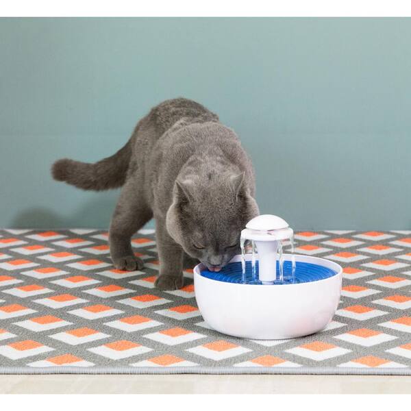 recirculating water bowl