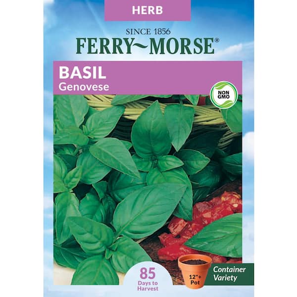 Ferry-Morse Basil Genovese Herb Seed