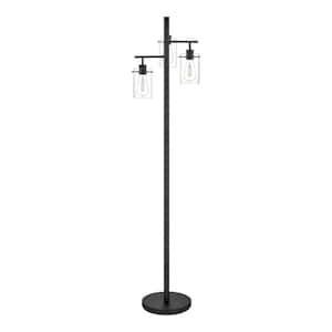 Regan 63 in. Matte Black Floor Lamp with Clear Glass Shades