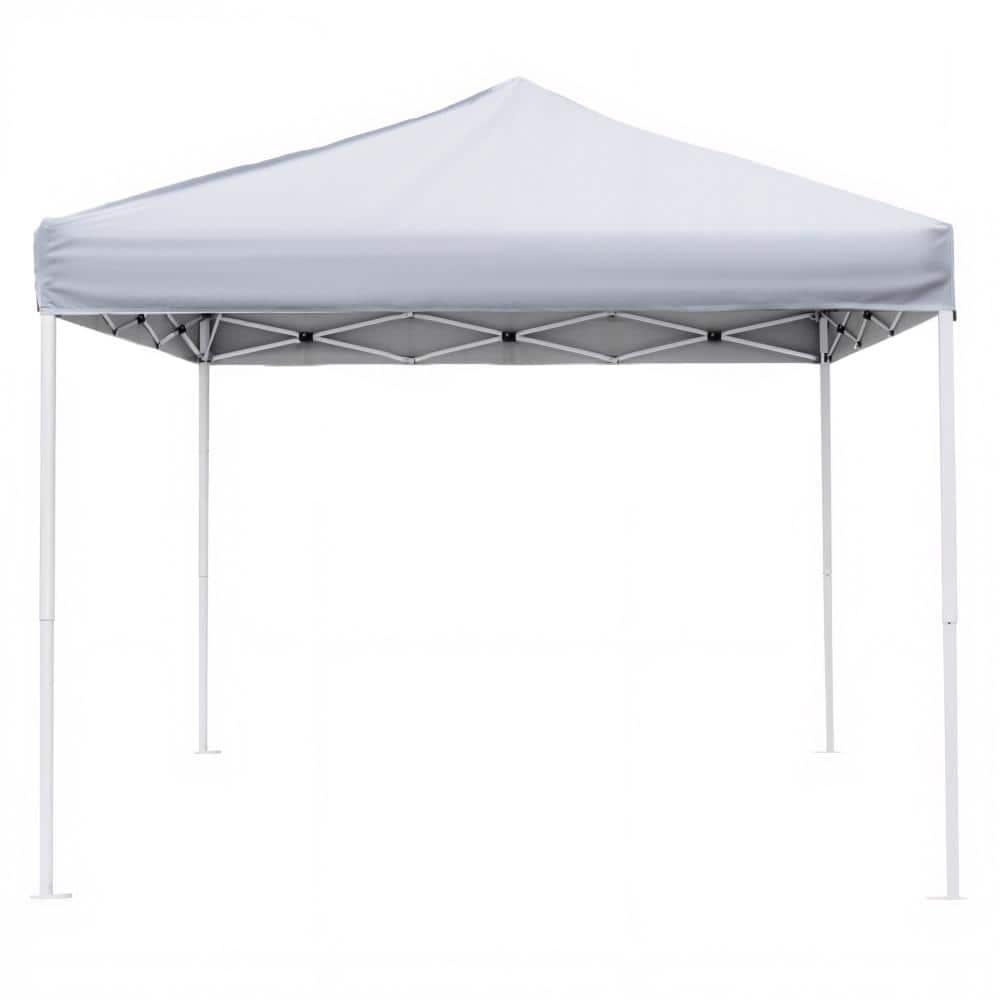 10x10 Silver Pop Up Water-Resistant Canopy Tent with White Speckled Steel Frame and Sandbags Stakes Ropes Carry Bag price history on PriceWatchPro