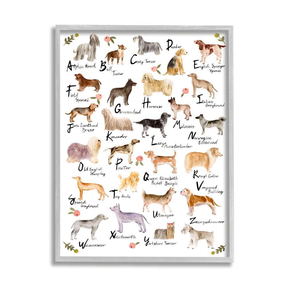 Stupell Industries Chic Alphabet of Dogs with Floral Detail by Melissa Wang Framed Animal Wall Art Print 24 in. x 30 in., White -  ab-539_gff24x30