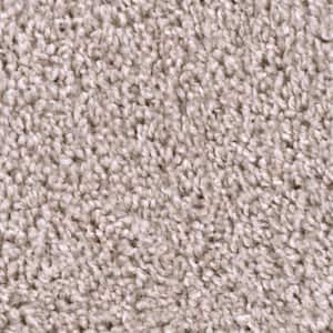 Founder - Master - Beige 18 oz. SD Polyester Texture Installed Carpet