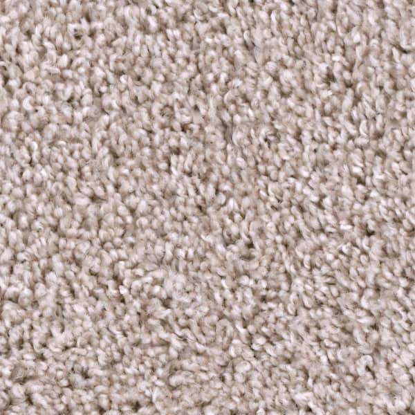 Trafficmaster Founder Master Beige 18 Oz Sd Polyester Texture Installed Carpet Hd084 111 1200 The