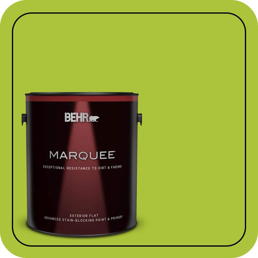1 gal. #410B-6 Crisp Green Flat Exterior Paint & Primer price history on PriceWatchPro