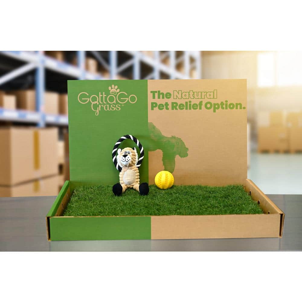 Gotta Go Grass Potty Pad with Tray + Toy Ball + Squeaky Toy