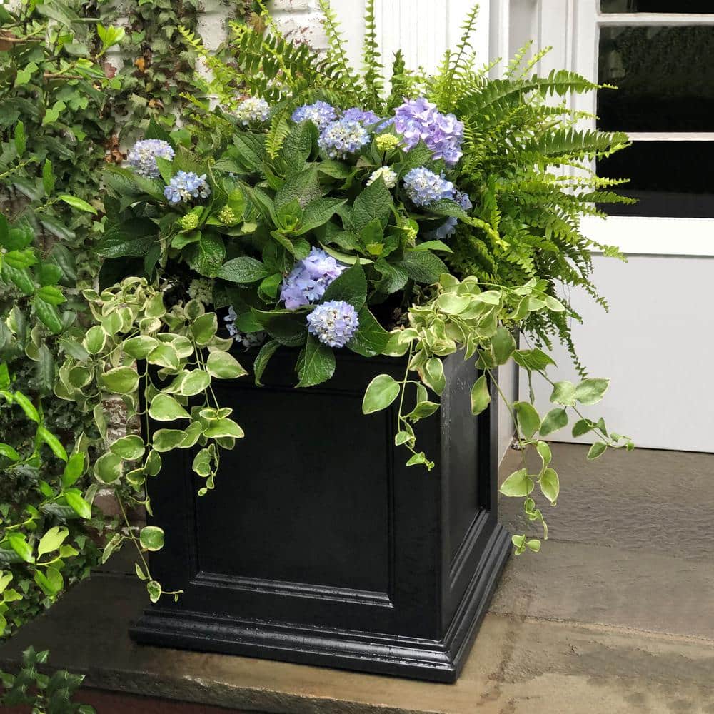Fairfield Square 20" Black Self-Watering Polyethylene Outdoor Planter