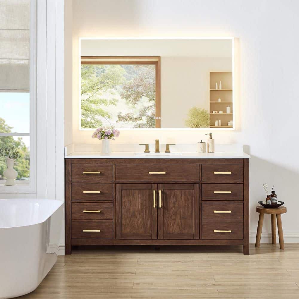 Beckett 66 in. Single Freestanding Dark Walnut Bath Vanity with Top price history on PriceWatchPro
