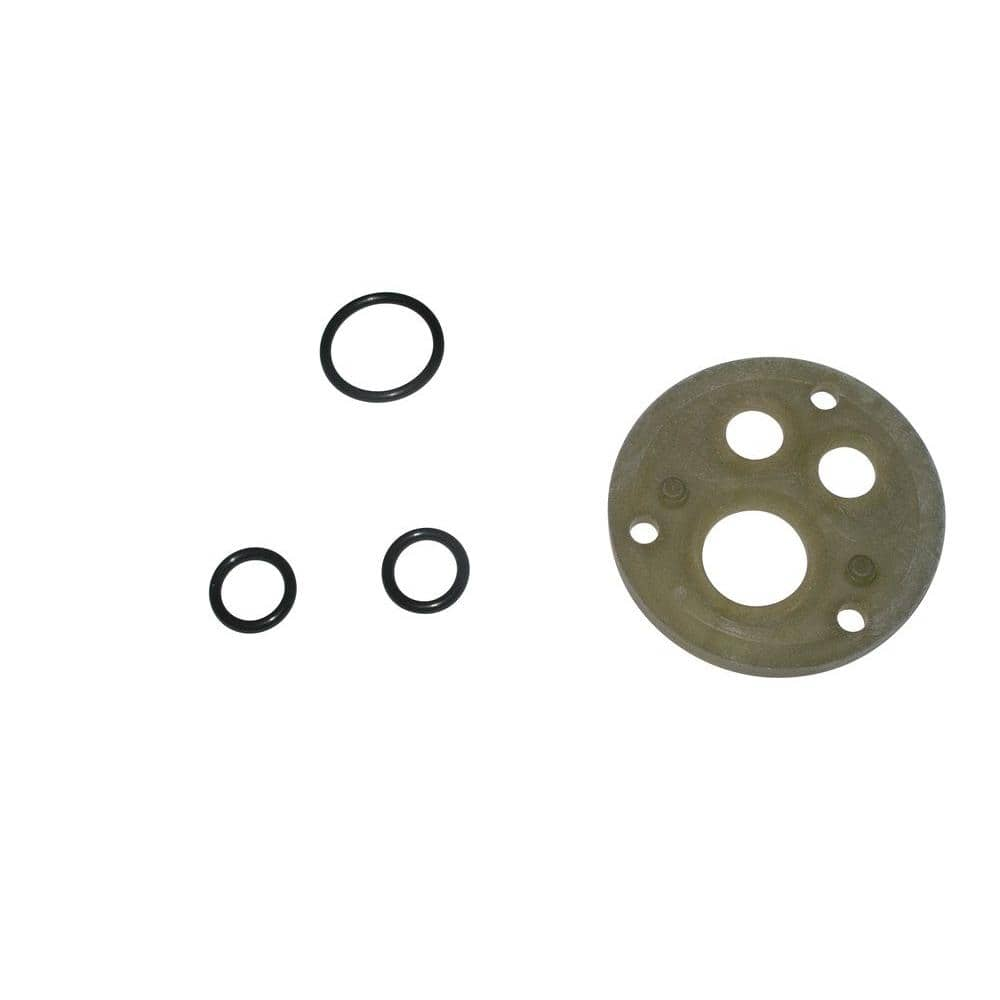 Replacement Rubber Seals for Screw-in Lids for the Stainless Steel Dri – AS  & Co Gracefully Green