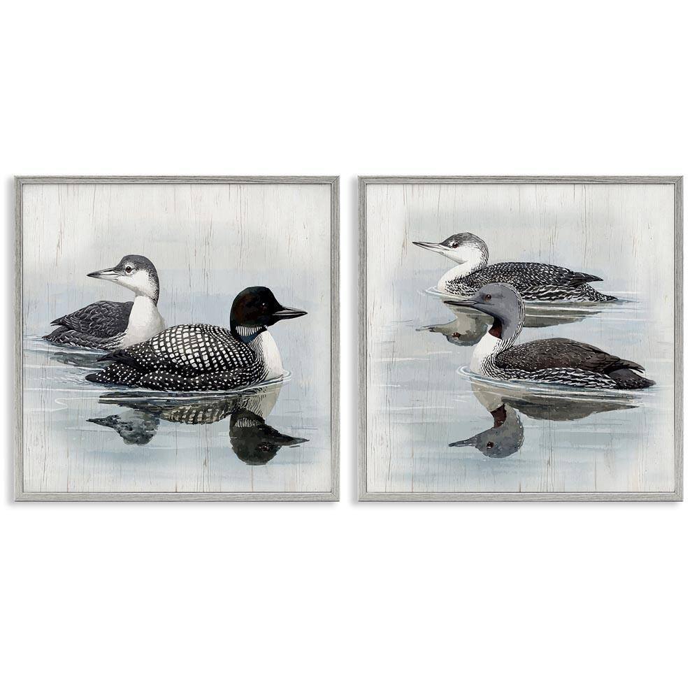 Four Loons in Lake by Susan Jill 2-Pieces Gray Framed Animal Giclee Art Print 12 in. x 12 in. price history on PriceWatchPro