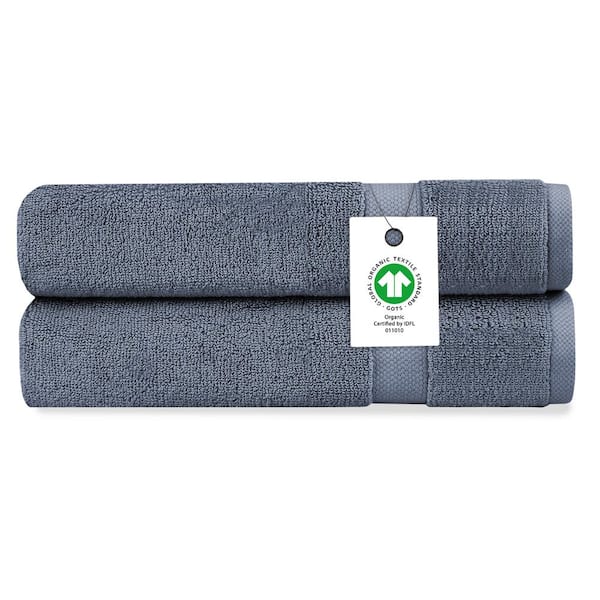 Delara Mineral Blue Solid 100% Organic Cotton Luxuriously Plush Hand Towel (Set of 2)
