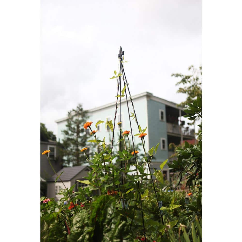 Black Wrought Iron Fleur-De-Lis Garden Trellis, 78-Inch