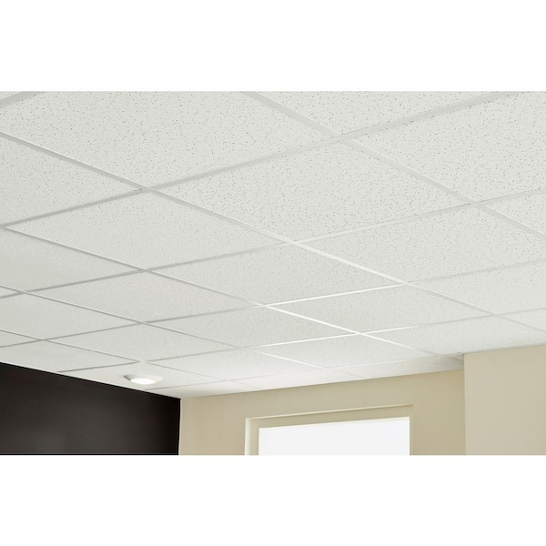 Random Textured 2 ft. x 2 ft. Lay-in Ceiling Tile (16 sq. ft. / case)