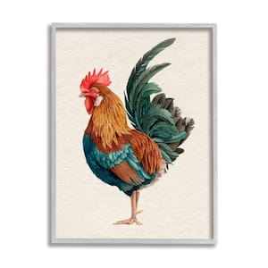 Morning Rooster Illustration Elegant Bird Feathers By Grace Popp Framed Print Animal Texturized Art 11 in. x 14 in.