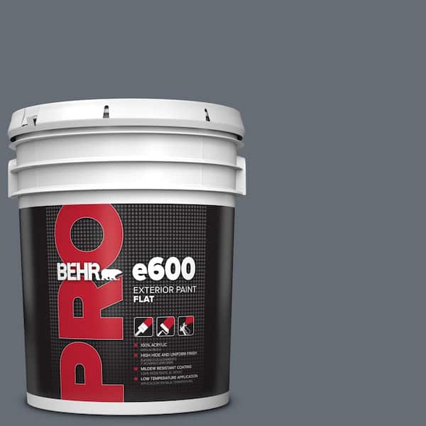 BEHR PRO 5 gal. #PPU26-22 Summer Storm Flat Exterior Paint