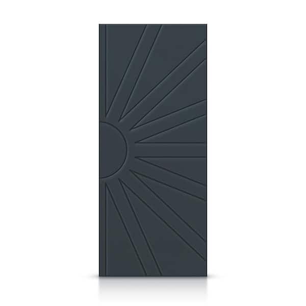 CALHOME 24 in. x 80 in. Hollow Core Charcoal Gray Stained Composite MDF Interior Door Slab