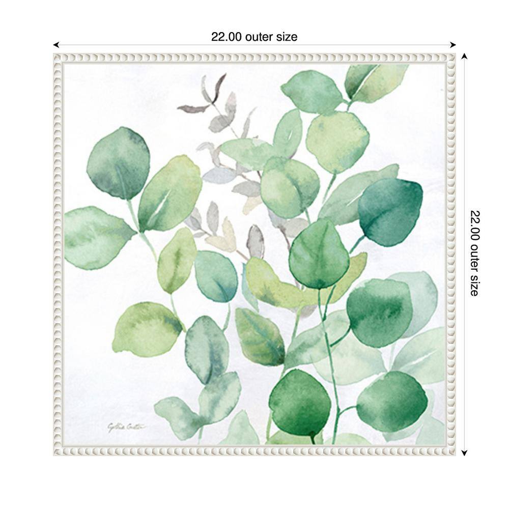 Eucalyptus Leaves I Green and White Canvas Print with Floater Frame