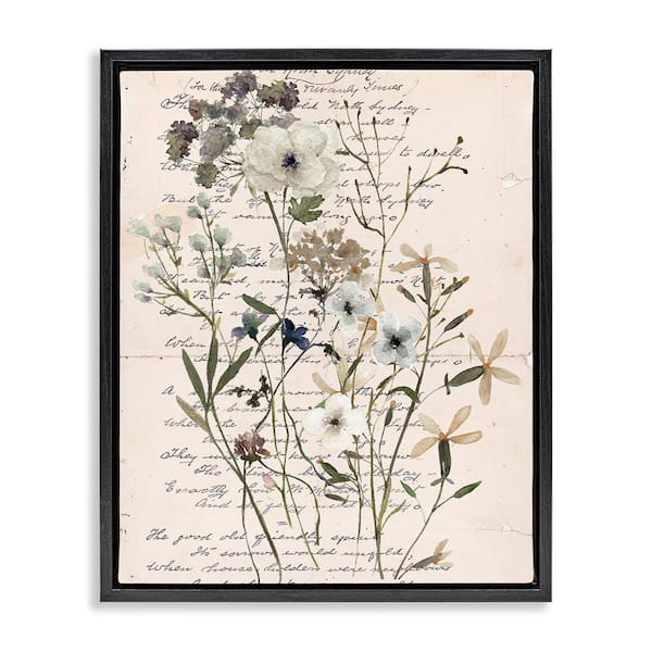 Vintage Pressed Flowers by Carol Robinson Black Floater Frame Nature Graphic Art Print 21 in. x 17 in.