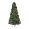 Home Accents Holiday 7.5 ft. Pre-Lit LED Festive Pine Artificial ...