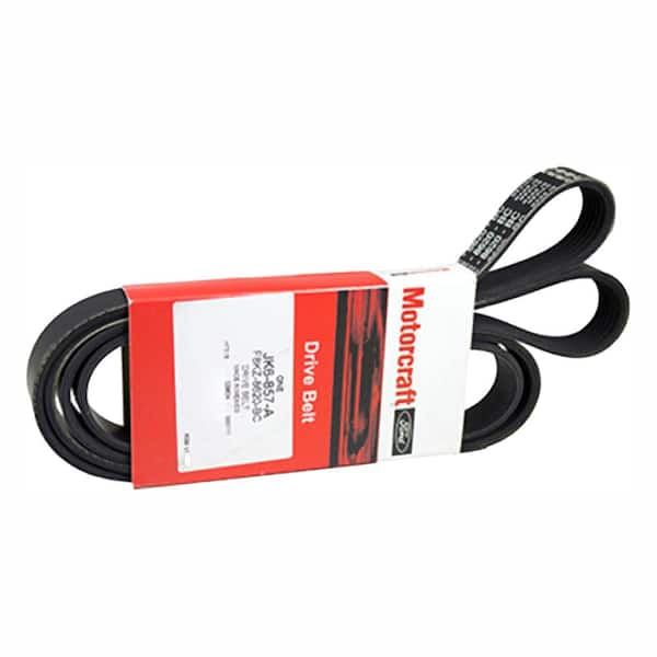 Motorcraft Serpentine Belt