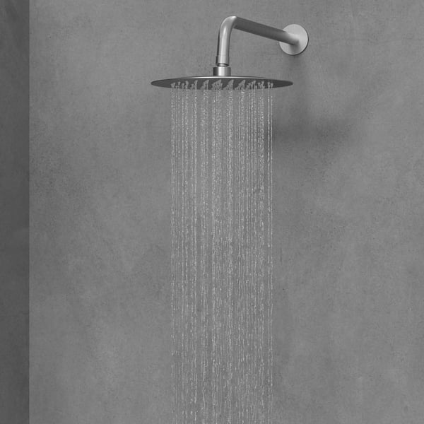 2-Spray Patterns Round 10 in. Wall Mount Dual Shower Heads with Handheld in Brushed Nickel