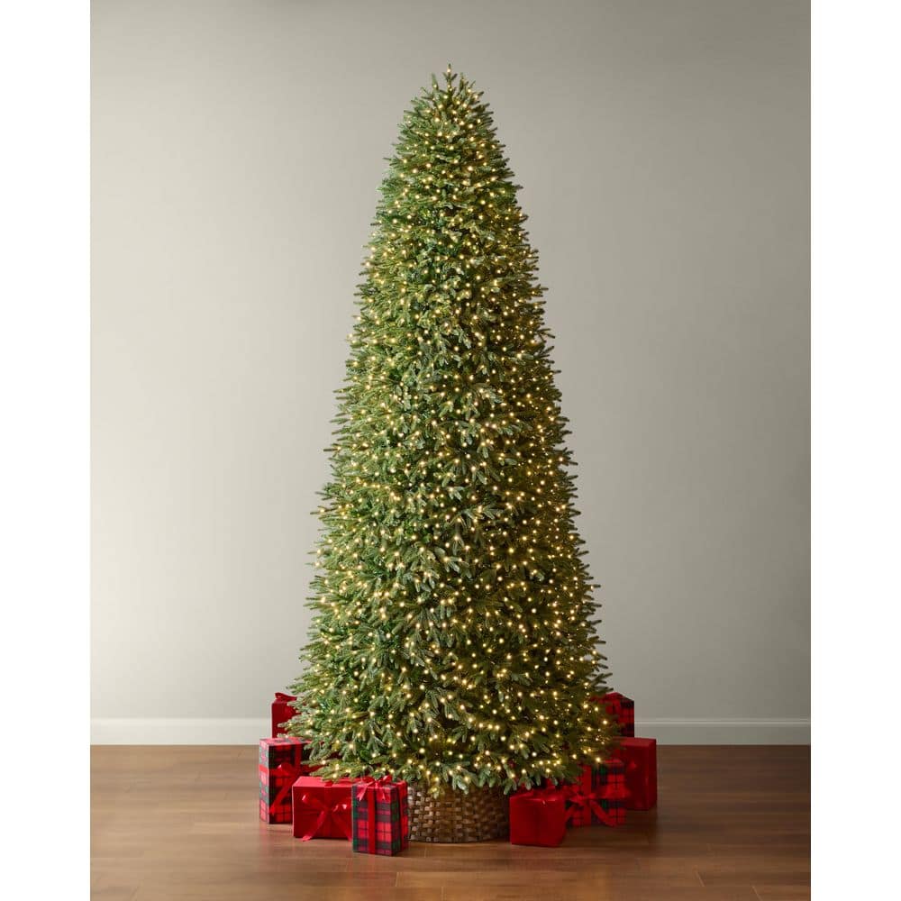12 ft Jackson Noble Fir LED Pre-Lit Artificial Christmas Tree T38