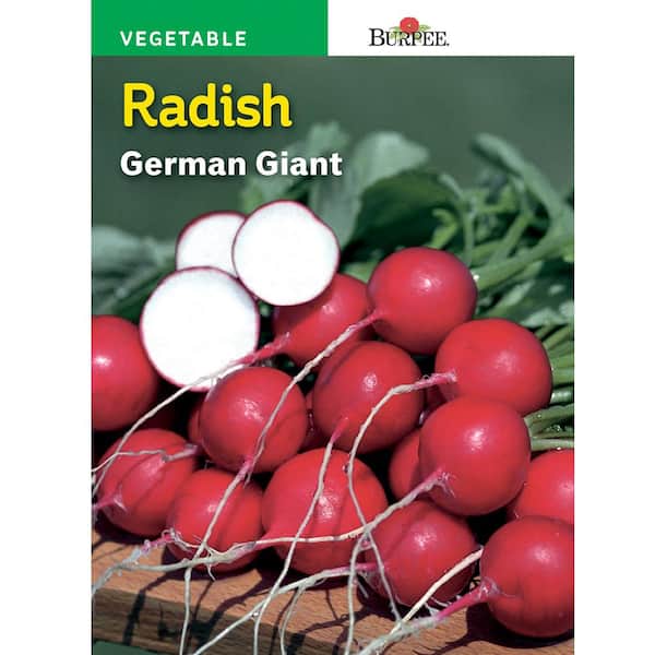 Burpee Radish German Giant Seed