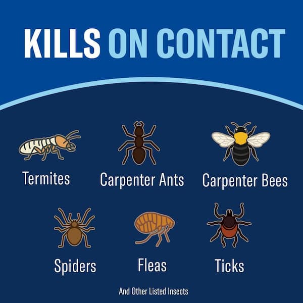 1 Gal. Ready-to-Use Carpenter Ant and Termite Insect Killer Plus