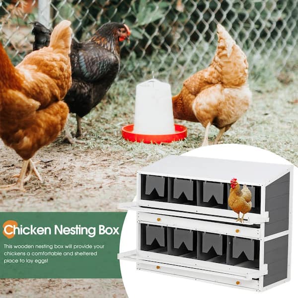 Ten-Hole Metal Chicken Nesting Boxes